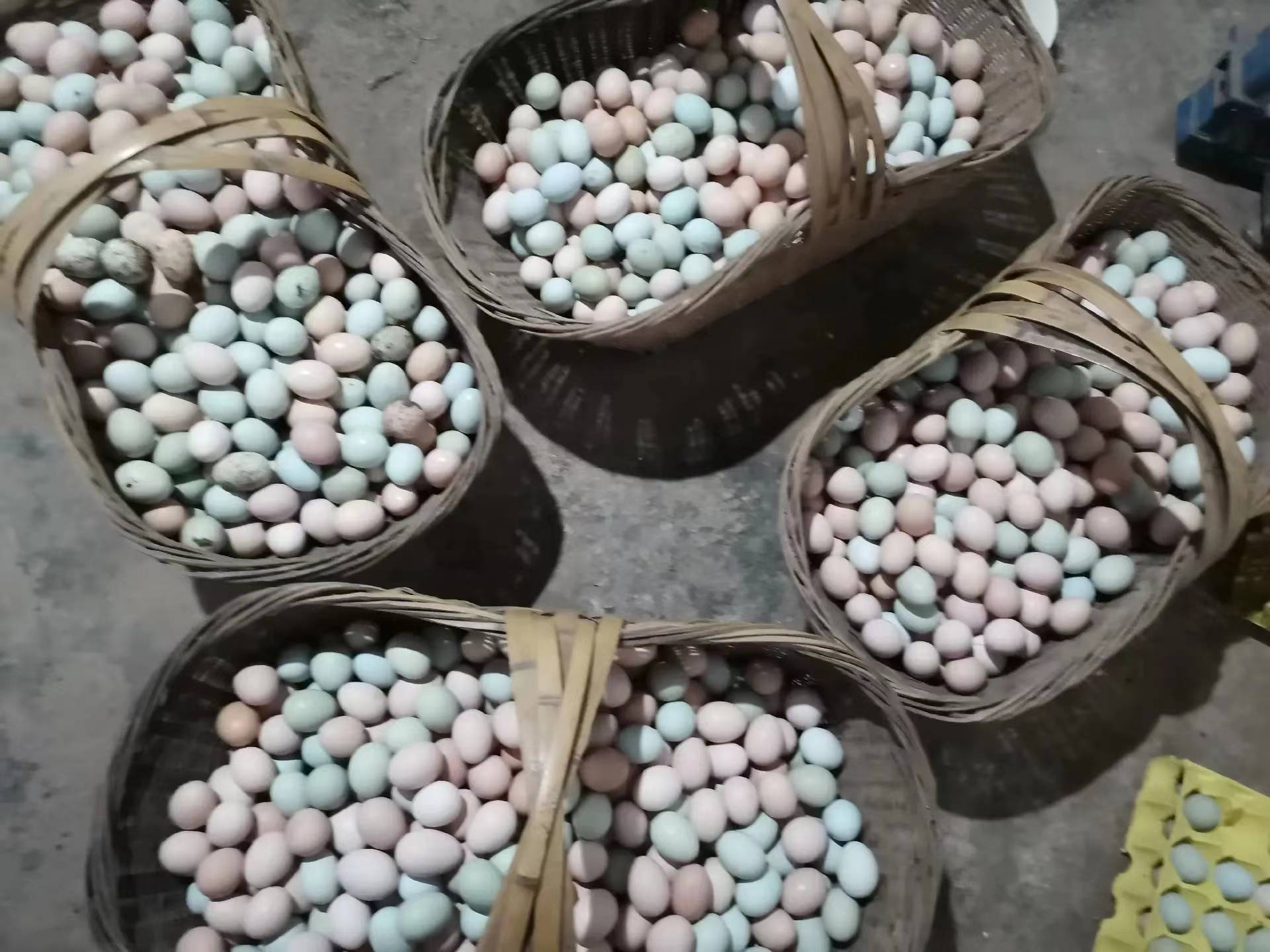 一颗新鲜的土鸡蛋,外壳呈浅褐色,表面有细微纹理,灯光下略带光泽,背景为木质砧板,旁边摆放一把不锈钢小刀,突出食材的自然质感 鸡蛋特写