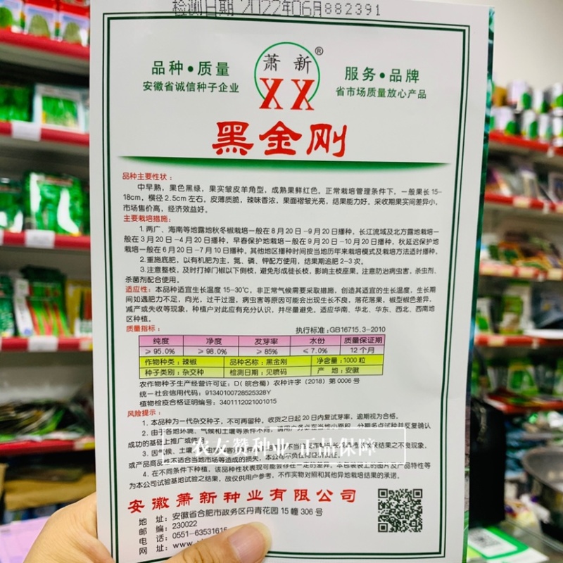 黑绿皮皱皮椒种子特辣大果型皱皱辣种籽黑金刚皱皮辣椒种子