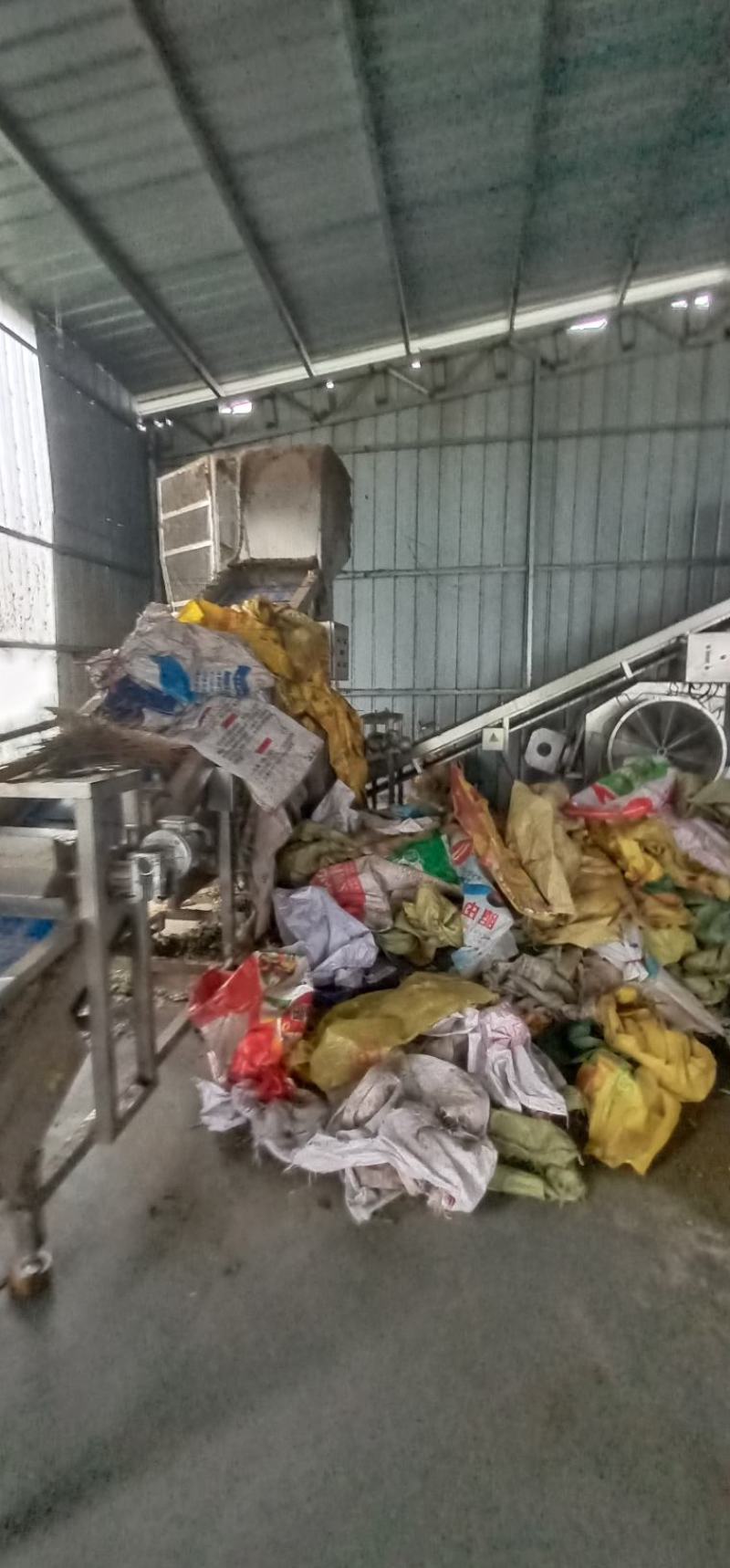优质毛豆全国发货基地直供诚信经营货源充足