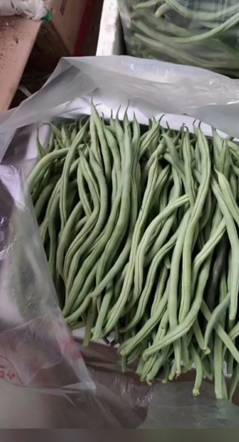 精品豆王掉价中，新上市豆王，物美价廉，欢迎采购