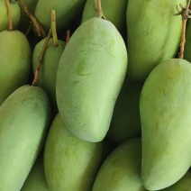 大青芒大量上货个头发质量上乘核小肉多预售