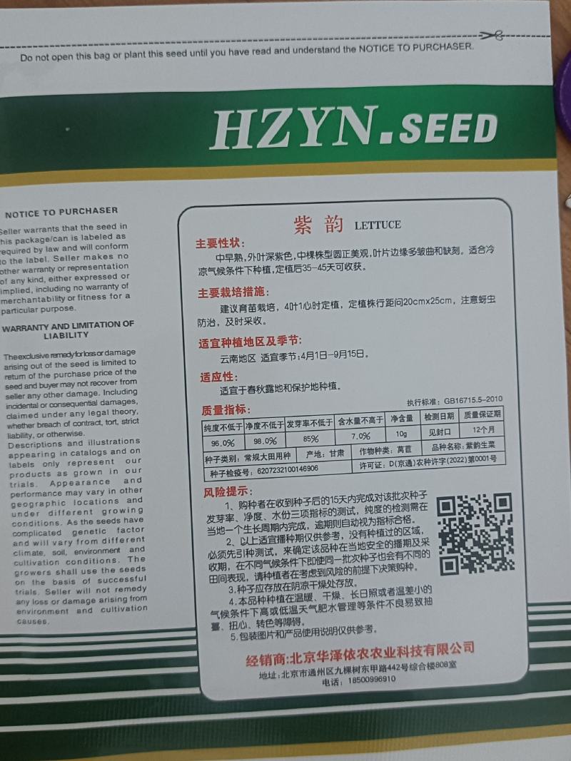 紫嫣-散叶生菜，叶片边缘深紫红色，喜凉，耐低温弱光