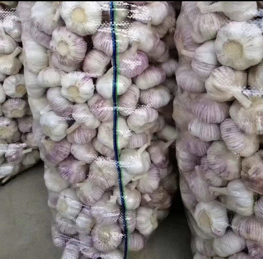 云南红蒜成品展示,透明包装突显颗粒饱满的品质 云南红蒜成品包装图