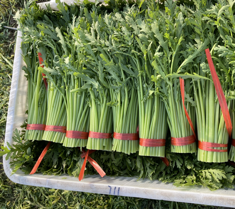 精品茼蒿产地直发一手货源货源稳定量大价优欢迎致电咨询