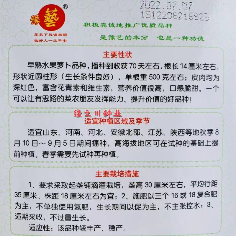 豫甜火龙果水果萝卜种子红皮红肉凤梨萝卜种子脆甜含花青素