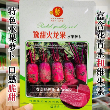 特色凤梨水果萝卜种子豫甜火龙果水果萝卜种子凤梨萝卜种