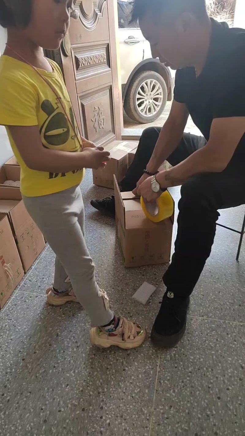 苹果已上市，欢迎各位老板的光临，物流也走，货源大量供