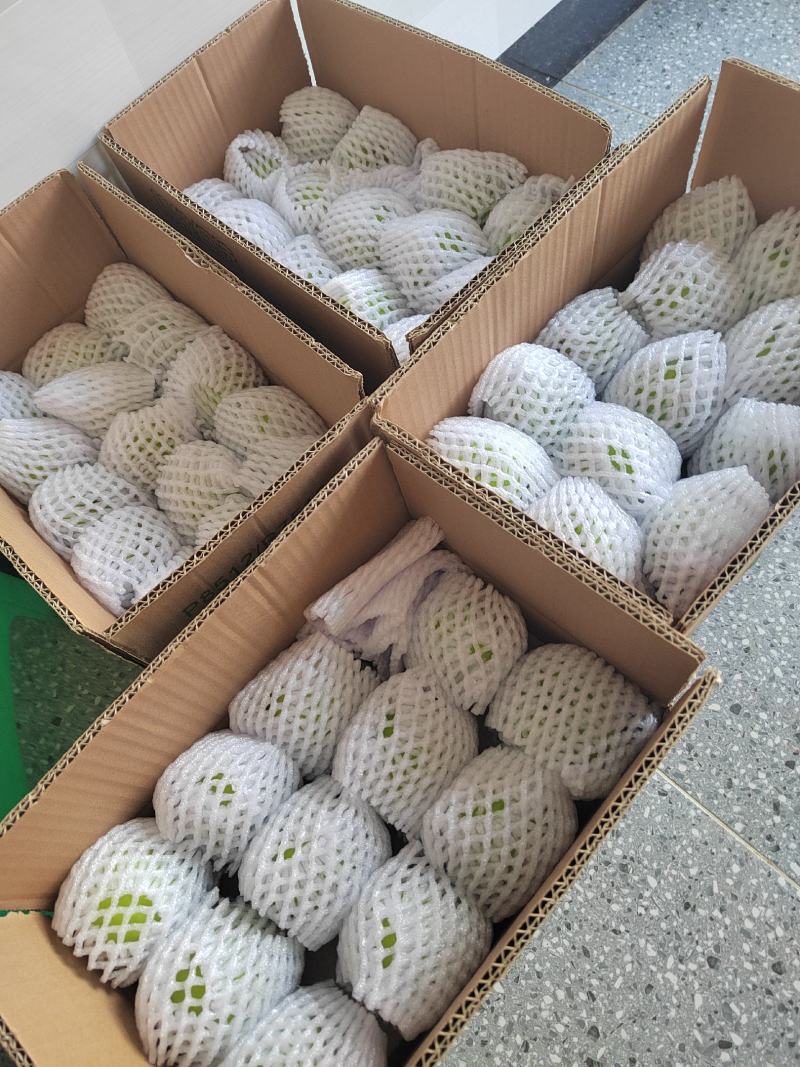 苹果已上市，欢迎各位老板的光临，物流也走，货源大量供