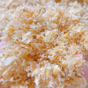 鲜玉米皮可供畜禽养殖蛋白高适口性好吸收率高价格便宜