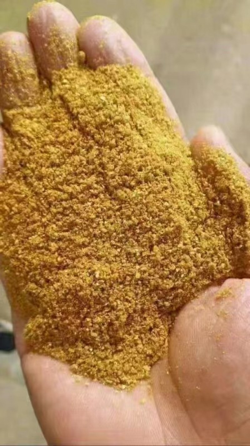 DDGS玉米酒糟蛋白含量高吸收率高香味现产适口性好质量保