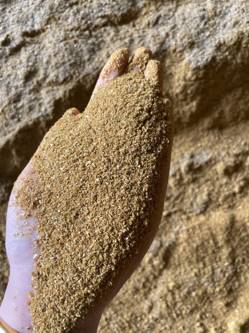 DDGS玉米酒糟蛋白含量高吸收率高香味现产适口性好质量保