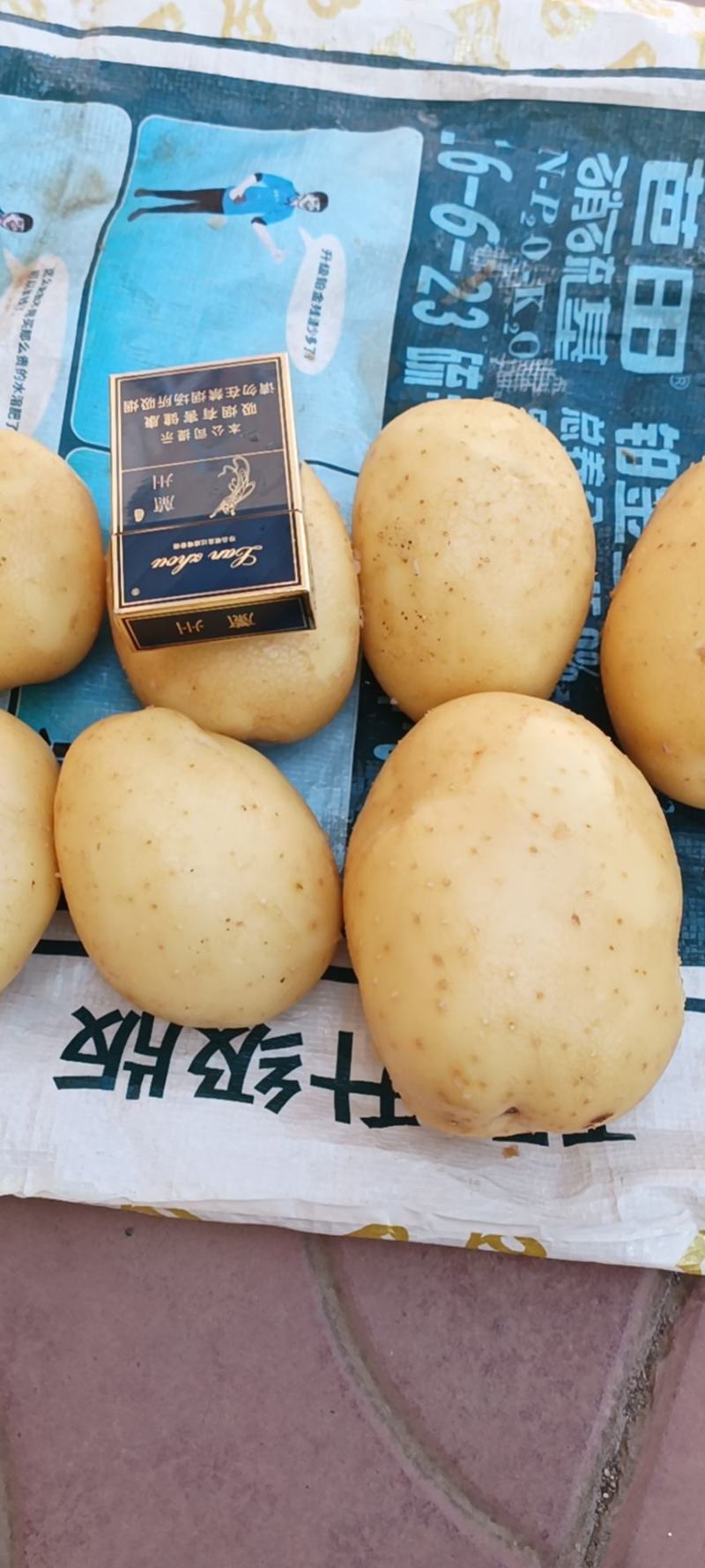 土豆