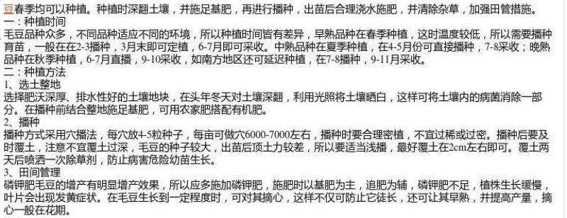 山毛豆种子白灰毛豆种子道路河堤护坡绿化矿山修复绿喷播灌木