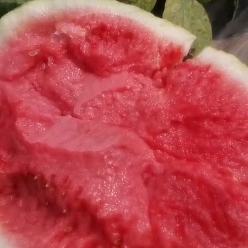 西瓜