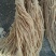 猪肠衣12路大量供应灌肠腊肠、排骨肠，规格齐全