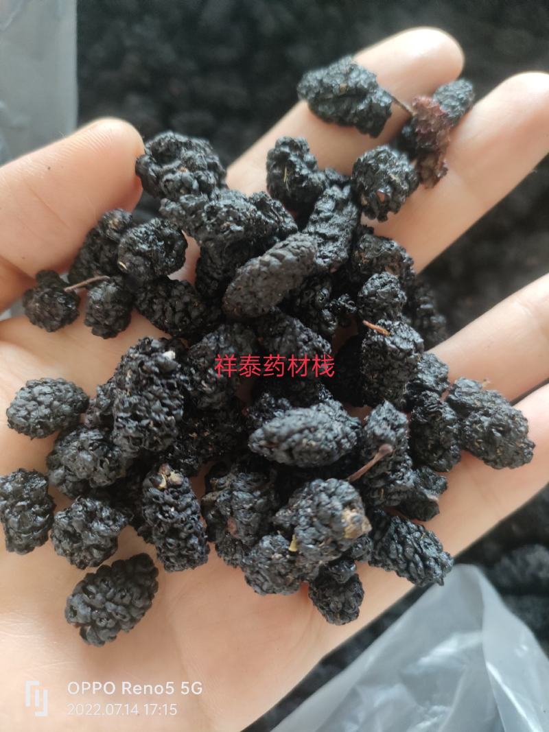（热销）精选水洗桑椹籽大果桑椹桑椹干黑桑椹桑葚中