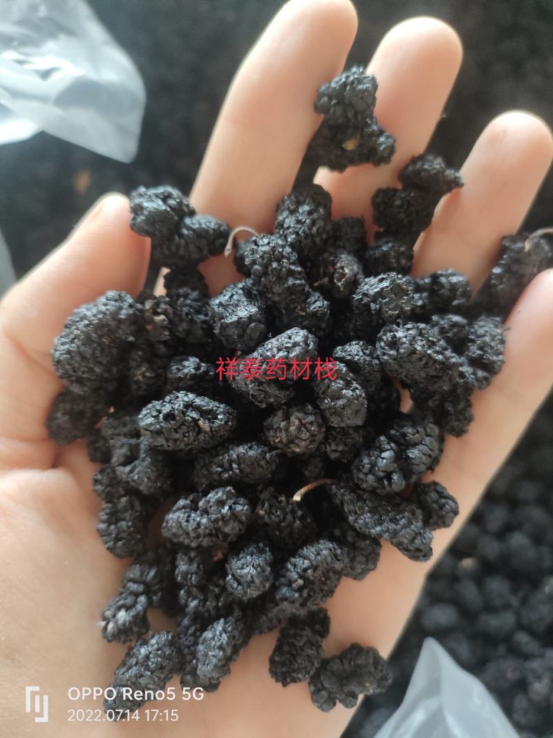 （热销）精选水洗桑椹籽大果桑椹桑椹干黑桑椹桑葚中
