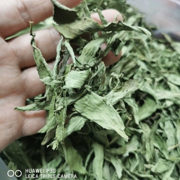 甜叶菊包邮一公斤起批中药材甜菊叶产地直发