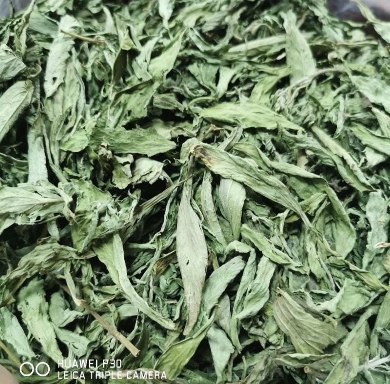 甜叶菊包邮一公斤起批中药材甜菊叶产地直发