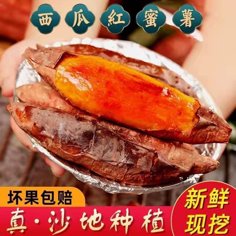 蜜薯