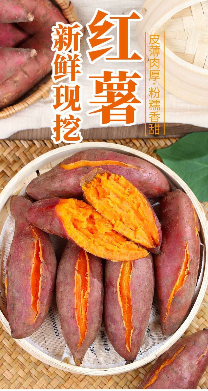 蜜薯
