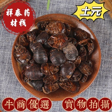 (热销)土元土鳖虫地鳖虫蛰虫瘀可磨粉祥泰药材栈中