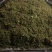 青花椒干湿都有