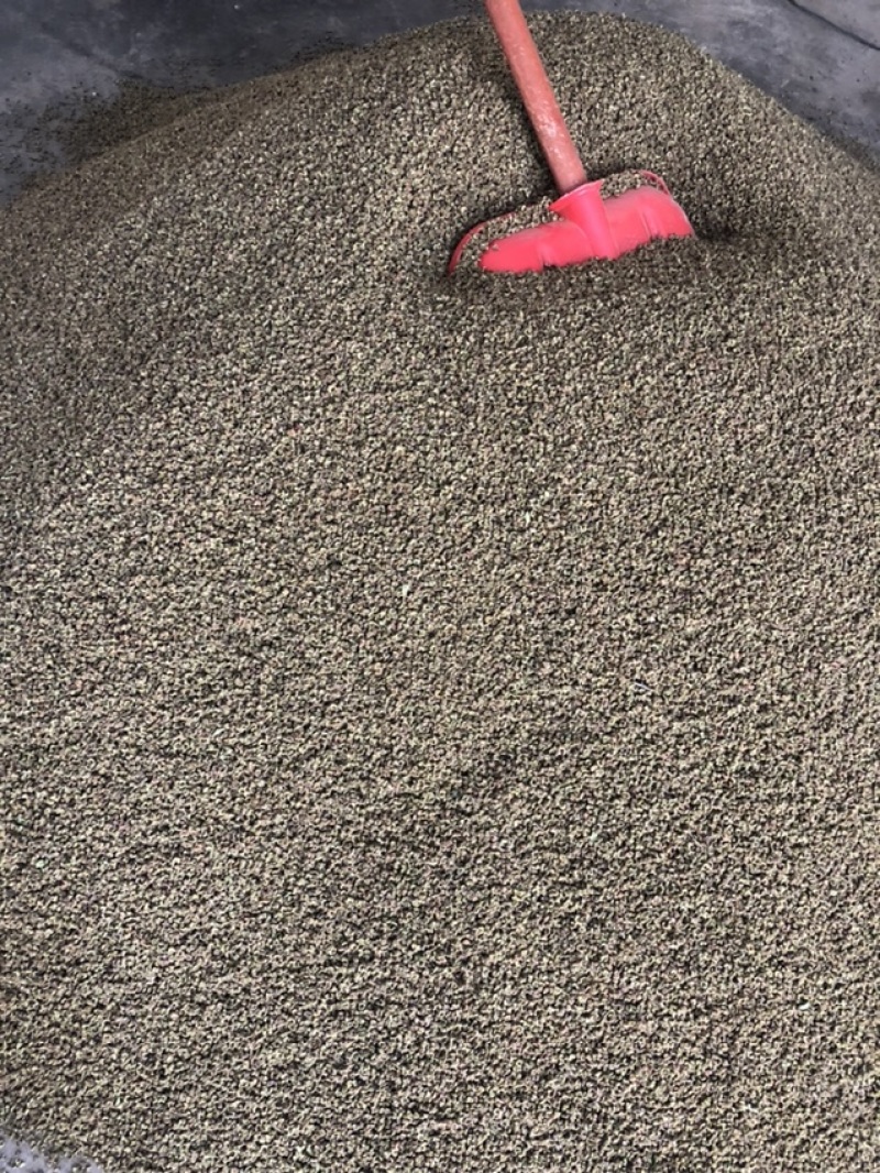 青花椒干湿都有