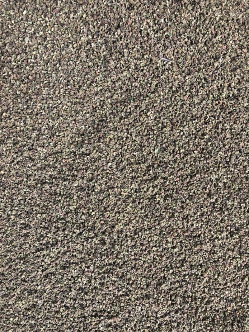 青花椒干湿都有