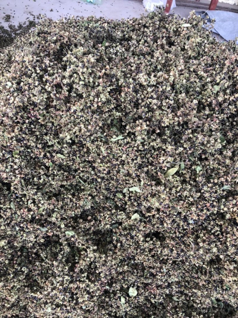 青花椒干湿都有