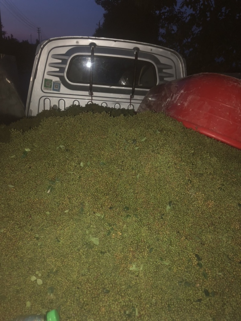 青花椒干湿都有