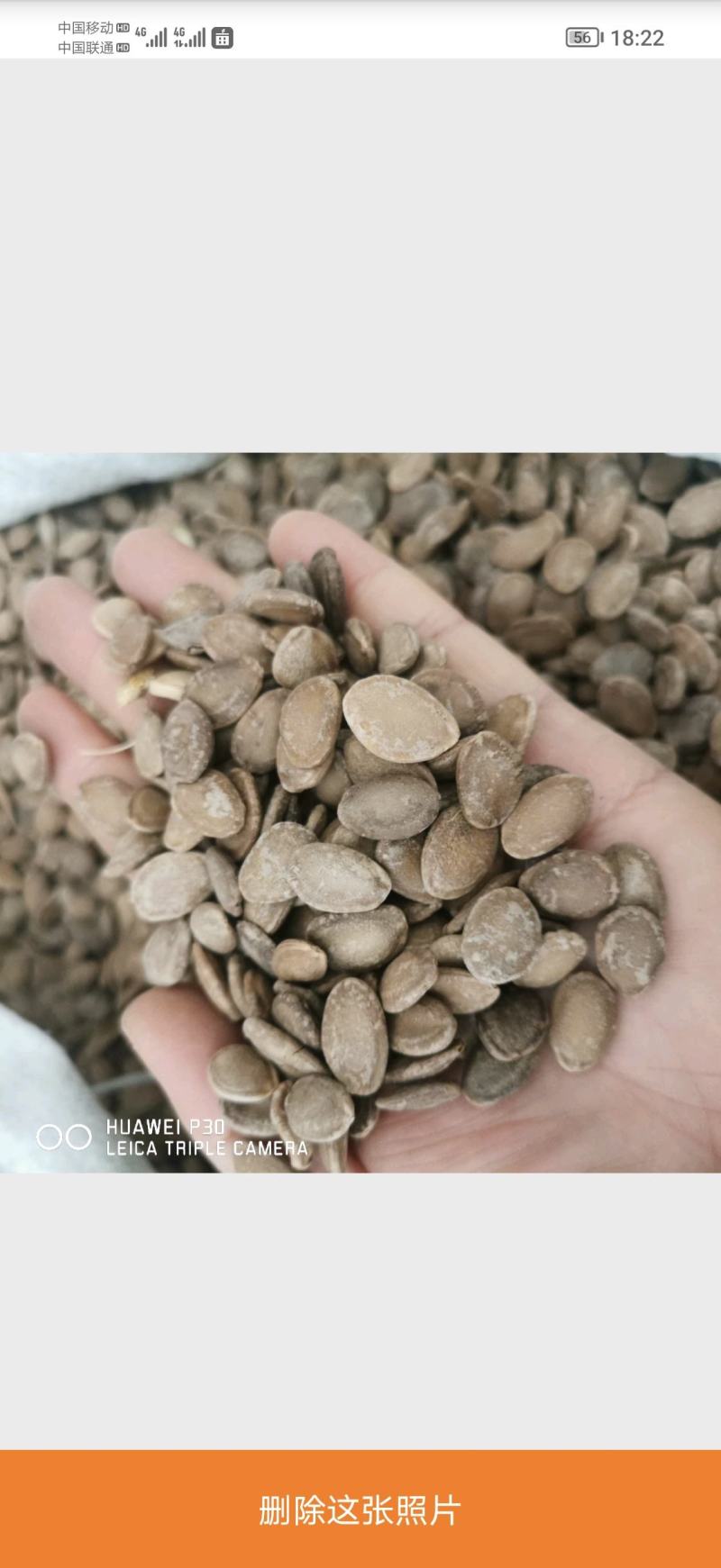 瓜蒌子包邮发货正品质量产地直发量大从优