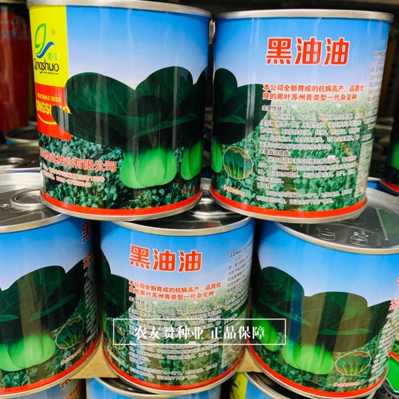 黑叶苏州青类型一代杂交种黑油油黑叶菜青梗菜种子甜糯可口