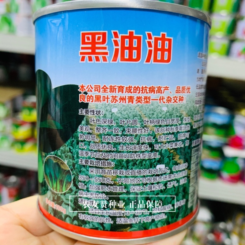 黑叶苏州青类型一代杂交种黑油油黑叶菜青梗菜种子甜糯可口