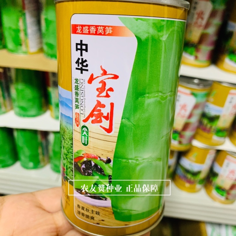 龙盛香莴笋种子中华宝剑抗热尖叶莴笋种子春夏秋香味浓郁