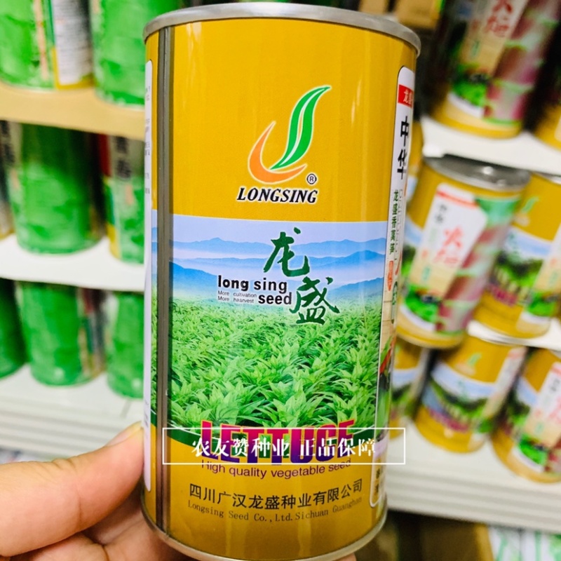 龙盛香莴笋种子中华宝剑抗热尖叶莴笋种子春夏秋香味浓郁