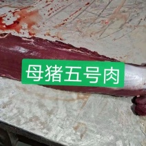 母猪新鲜5号肉小里脊