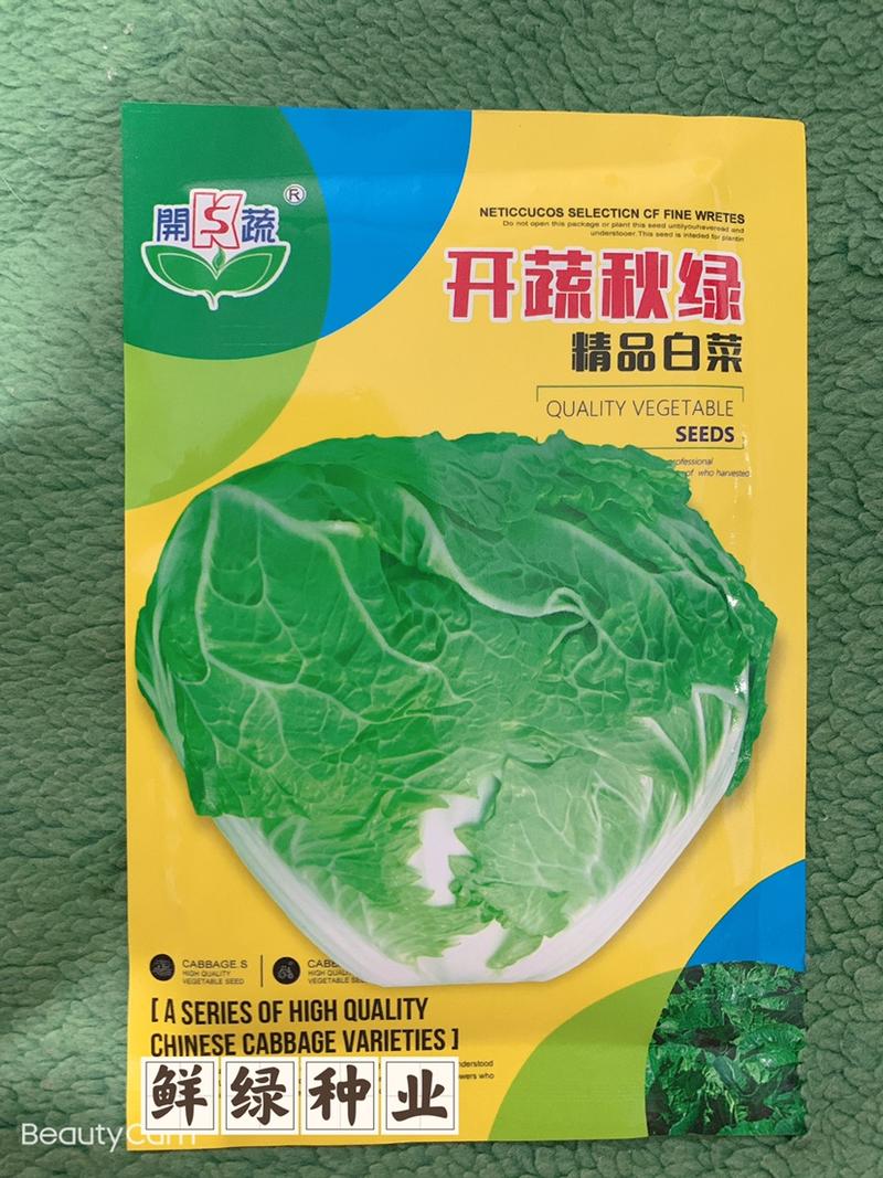 东京大白菜系列：开蔬秋绿。中熟品种，生育期70天