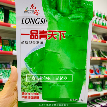 三青莴笋种子一品青天下香莴笋种子青皮青肉莴苣种子清香味浓