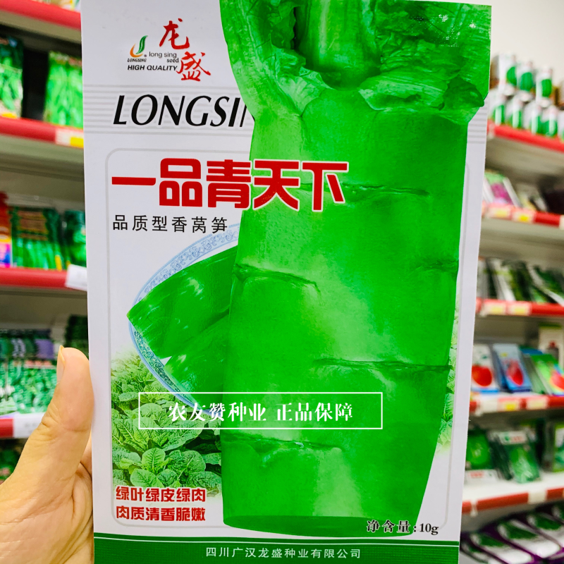 三青莴笋种子一品青天下香莴笋种子青皮青肉莴苣种子清香味浓