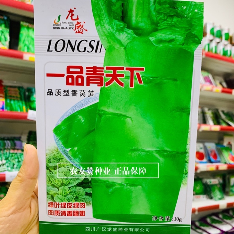 三青莴笋种子一品青天下香莴笋种子青皮青肉莴苣种子清香味浓