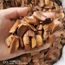 向天果当年新货仁白包邮发货产地直发常年大量供应