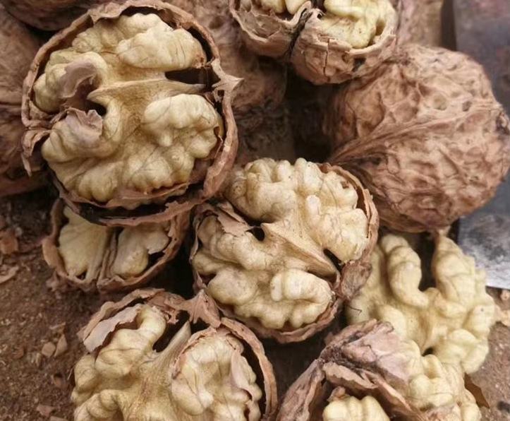 薄皮核桃仁特写与营养成分表对比