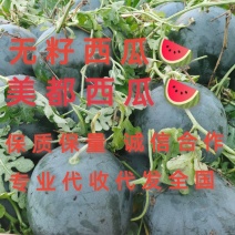 洞庭一号黑皮无籽西瓜，口感很好，皮薄，耐运输，产地直供