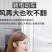 面屏防护面罩防飞沫防雾防风疫护目面罩防尘油烟面罩透明全脸