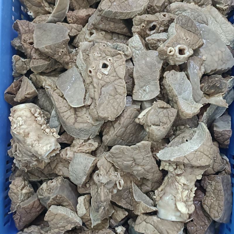 新鲜牛肺
