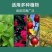 包邮土壤活化剂