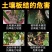 包邮土壤活化剂