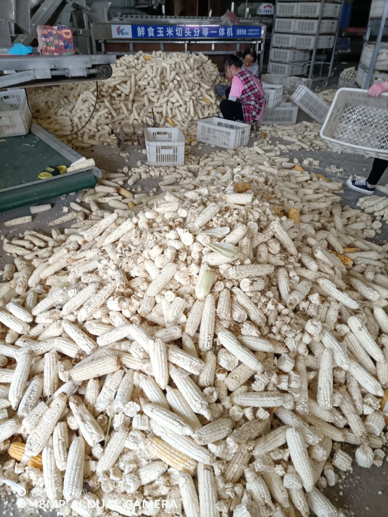 草捆，饲喂牛羊的草料，联我时，请说是在一亩田上看到的
