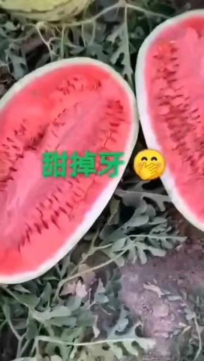 西能八号，精华一号。